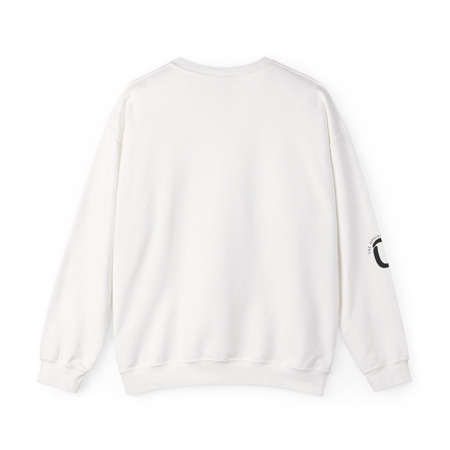 Ophishal Brand Merry Christmas and Party On, Ugly Christmas Party Sweatshirt | Festive Gag Sweater